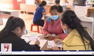Nhiều trường hợp sử dụng giấy tờ giả để hưởng bảo hiểm