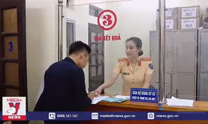 Ngày 1/7, thí điểm đấu giá biển số xe ô tô