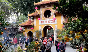 Người Hà Nội vãn cảnh chùa, cầu chúc bình an cho năm mới
