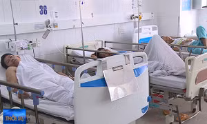 Xử phạt cơ sở kinh doanh thực phẩm khiến hơn 230 người ngộ độc