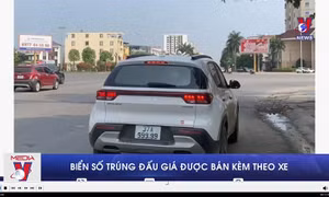 Biển số trúng đấu giá được bán kèm theo xe
