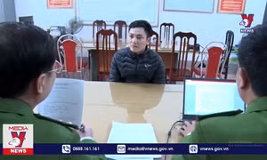 Tạm giữ đối tượng trồng 1.350 cây thuốc phiện