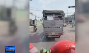 Ô tô không nhường đường cho xe cứu hỏa
