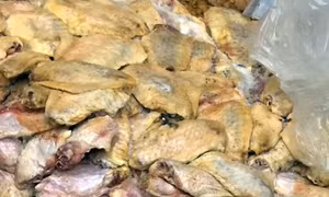 Hàng chục nghìn tấn gà thải loại nhập lậu vào Việt Nam