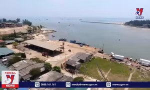 Hai cảng cá lớn nhất Quảng Trị đứng trước nguy cơ ngừng hoạt động