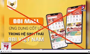 Khởi tố vụ án lừa đảo mua sắm, tích điểm