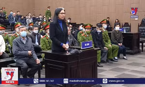 'Cơ chế ngầm' trong vụ AI'