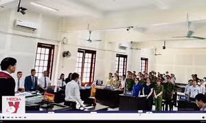 Nghệ An xét xử phúc thẩm vụ cô giáo bị phạt 5 năm tù