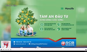 Phát hiện 3.100 trường hợp đại lý bảo hiểm sai phạm