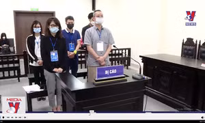 Hà Nội phạt tù Giám đốc công ty buôn lậu xì gà