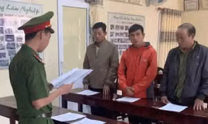 Vụ phá rừng quy mô lớn ở Đắk Lắk: Bắt tạm giam 4 cán bộ liên quan