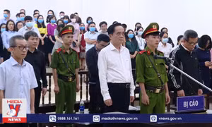 Tuyên phạt 12 bị cáo trong vụ án BIDV