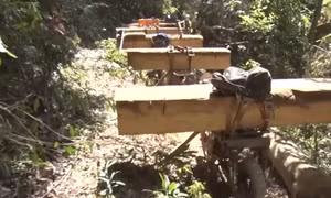 Kon Tum bắt quả tang 11 đối tượng khai thác gỗ trái phép