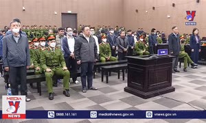 Tổng Giám đốc AIC Nguyễn Thị Thanh Nhàn bị phạt 30 năm tù