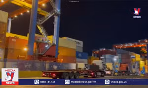 Ba doanh nghiệp Việt Nam nghi bị khách ở UAE lừa đảo