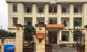 Vì sao băng nhóm 'Đường “Nhuệ' có thể ung dung bất chấp luật pháp suốt nhiều năm qua?
