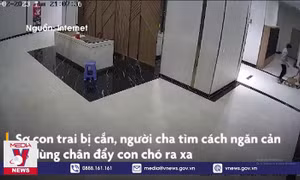 Chủ chó thả rông đánh cư dân nhập viện