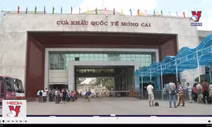 Cửa khẩu Móng Cái chính thức là cửa khẩu nhập khẩu lương thực vào Trung Quốc