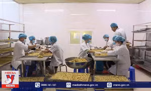 Doanh nghiệp linh hoạt ‘mở’ đầu ra cho nông sản
