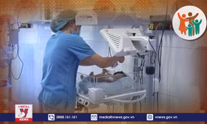 Sinh con một bề có được miễn giảm học phí?