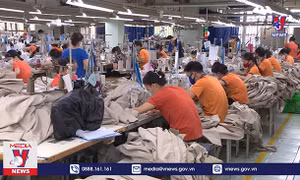 Hà Nội chuẩn bị phương án có 5.000 ca mắc COVID-19 trong khu công nghiệp