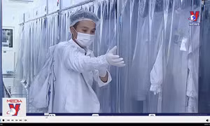 Bảo vệ công nhân trước hiểm họa ma túy