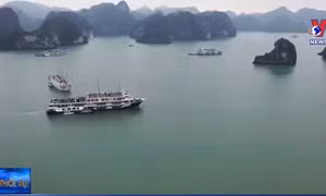Các chủ tàu du lịch tại Quảng Ninh xin dừng hoạt động
