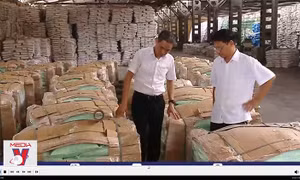 Doanh nghiệp phân bón mong được áp thuế VAT