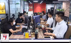Cơ hội đầu tư trong môi trường ‘tiền rẻ’