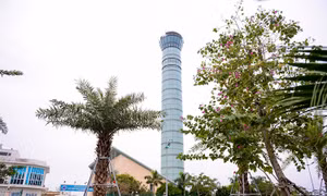 Đình chỉ kíp trực không lưu để máy bay suýt va chạm