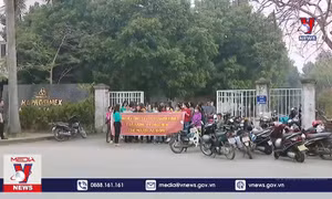 Gian nan xử lý Doanh nghiệp nợ đọng Bảo hiểm xã hội