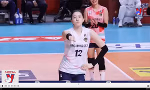 Ca khúc See tình của Hoàng Thùy Linh 'gây bão' ở nước ngoài