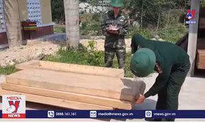 Thừa Thiên – Huế bắt 2 vụ vận chuyển gỗ trái phép