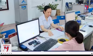 Trường tư thục thu hút học sinh lớp 10