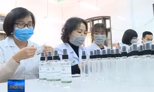 Tặng 1.000 lít dung dịch rửa tay khô cho các bệnh viện