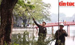 Hà Nội chặt hạ 3 cây sưa đỏ chết khô bên hồ Hoàn Kiếm