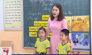 Lo lắng về sự quá tải của chương trình Tiếng Việt mới