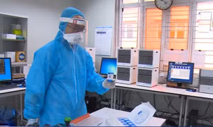 Sử dụng phương pháp Gene Xpert để phát hiện SARS-CoV-2