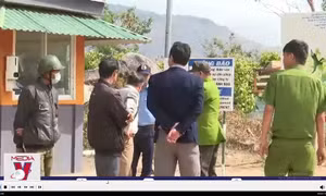 Hơn 14 ngàn trụ tiêu đang kinh doanh cháy bất thường