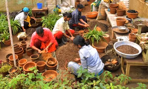 Nhóm phụ nữ bảo vệ rừng cây 'tị nạn' ở Ấn Độ