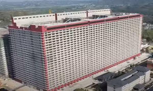 'Chung cư' chăn nuôi lợn ở Trung Quốc