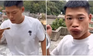 Tiktoker bị khóa tài khoản vì quay clip ăn ong vò vẽ