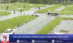 Các địa phương không được dừng đào tạo lái xe