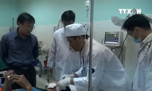 Xe khách lao xuống vực khiến 20 người thương vong