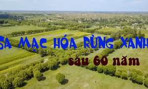 Xem nông dân Trung Quốc biến sa mạc khô cằn thành rừng xanh sau 6 thập kỷ
