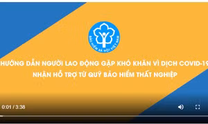 Đơn giản hóa thủ tục hỗ trợ lao động, doanh nghiệp từ quỹ bảo hiểm thất nghiệp