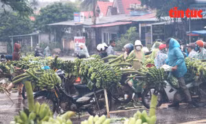 Nét riêng ở chợ chuối xã miền núi biên giới Tân Long