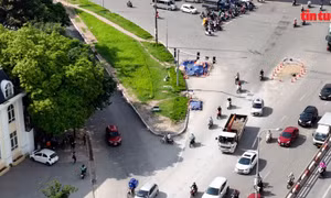 Hà Nội: Tiến độ 2 cầu vượt thép qua Mai Dịch phụ thuộc vào việc di dời cây xanh