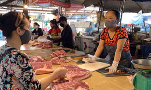 Đi tìm nguyên nhân giá thịt lợn vẫn cao vút