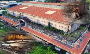 TP Hồ Chí Minh: Xót xa hai khu chợ tiền tỷ hoang phế sau hơn 20 năm
